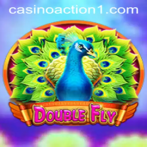 DoubleFly: An Engaging Adventure Through the Skies